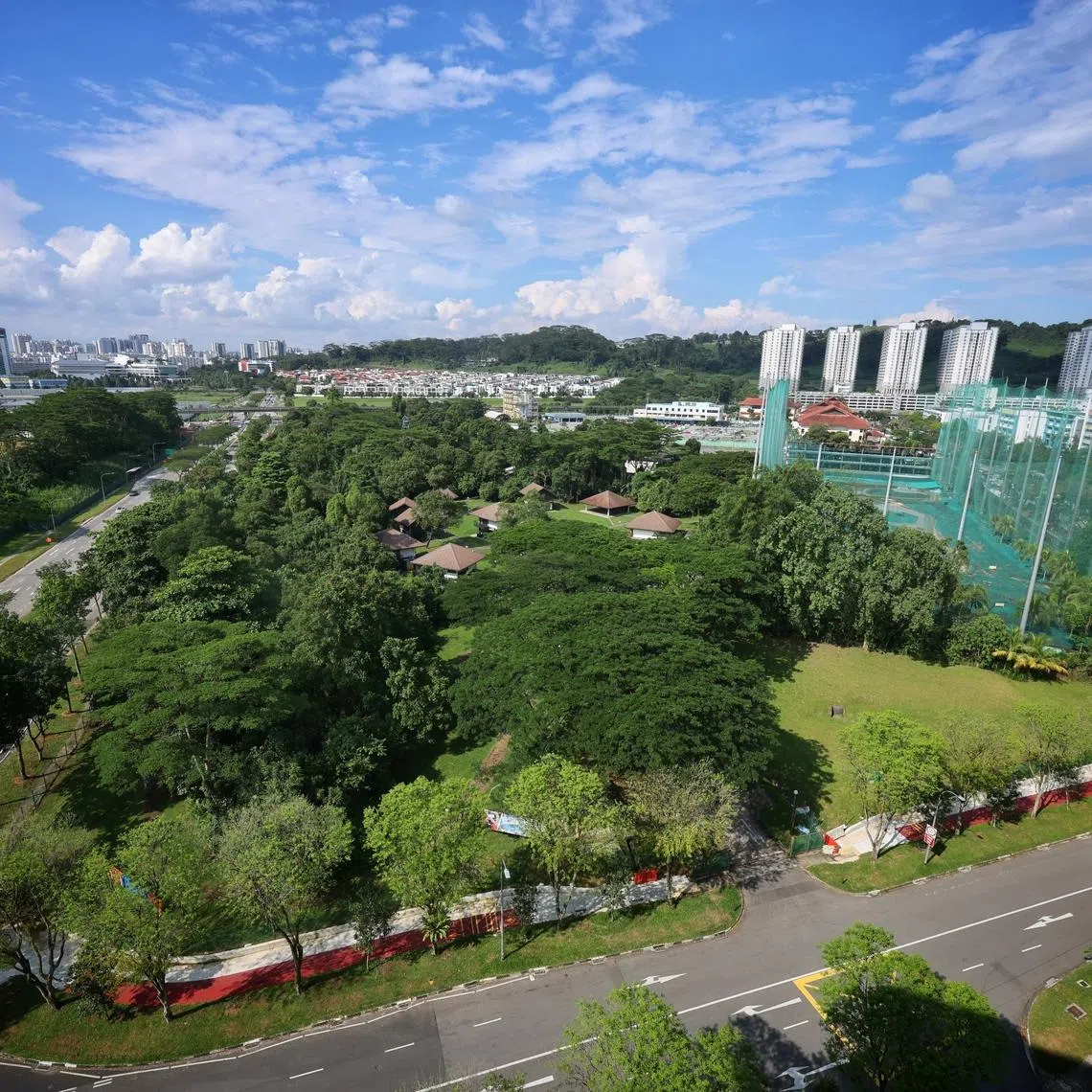 The vegetated strip of about 5.5ha, or slightly bigger than Kallang Riverside Park, is slated to make way for housing in western Singapore.