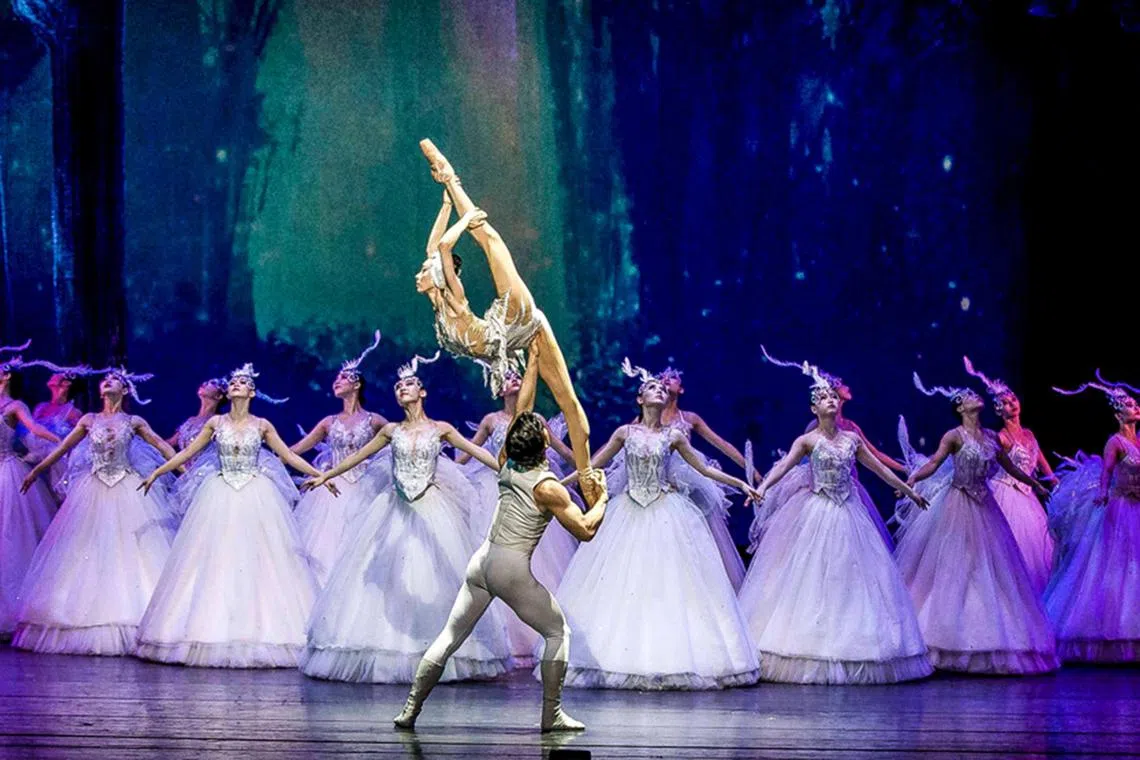 sfswan - Swan Lake by the Xi’an Acrobatic Troupe combines acrobatics, ballet and drama. The premiere show at the Esplanade Theatre on July 27 will raise funds for this year's President's Challenge, with President Halimah Yacob as the Guest-of-Honour. 

Credit - Xi'An Acrobatic Troupe

(Life)