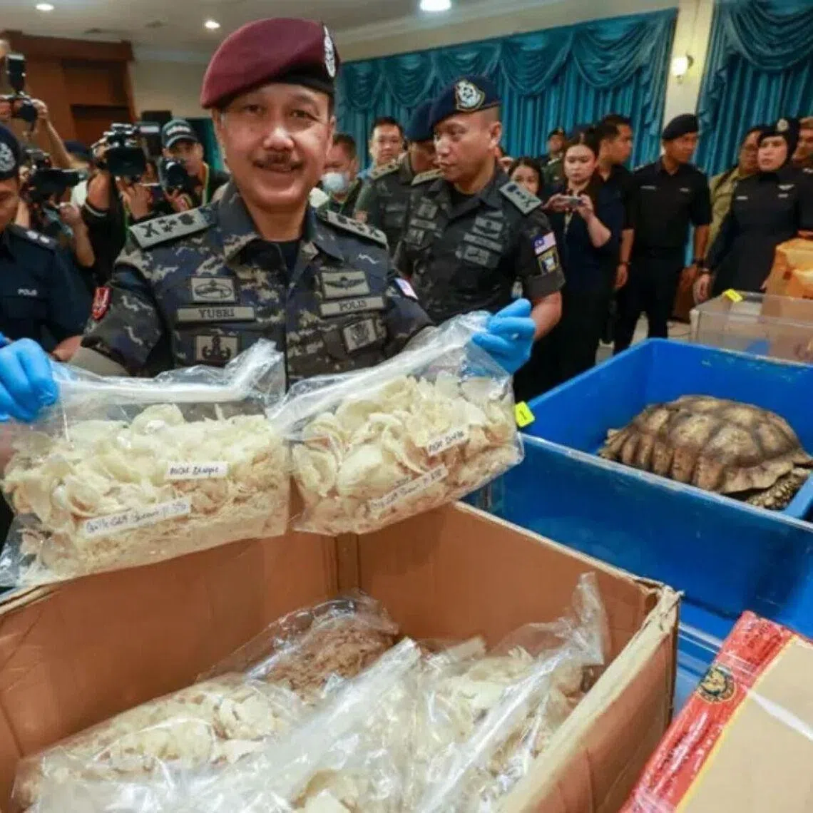 Besides the bird’s nests, the police also seized 223 birds, eight eagles, two pangolins, 790 turtle eggs, 4,238 tortoises and 218 salamanders in various raids.
