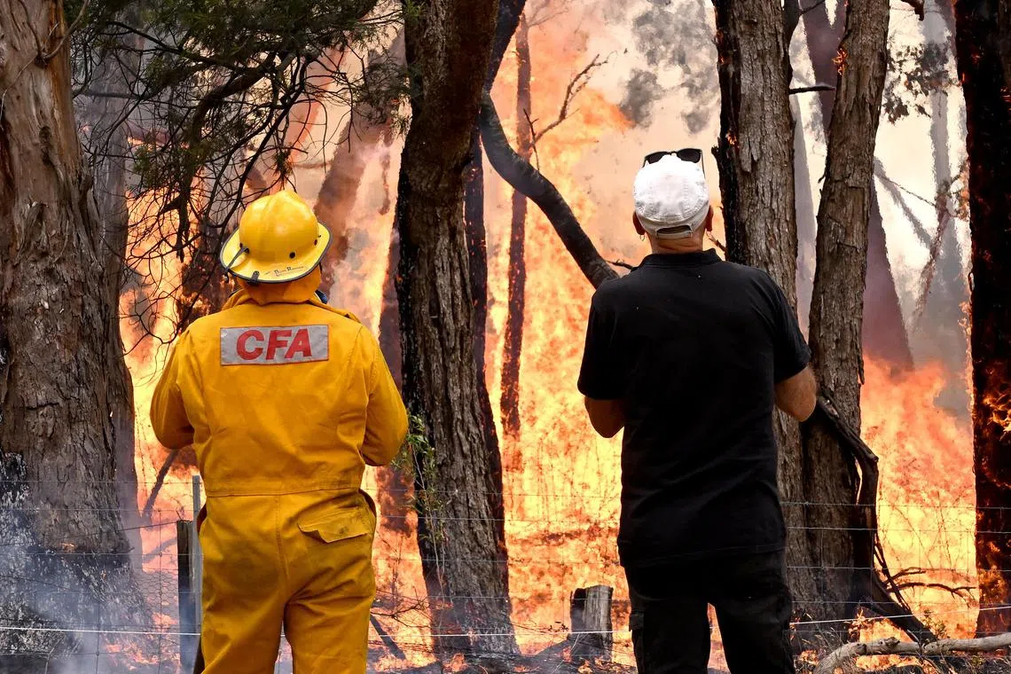 Local resisdent Attila Hegedus (right) and a fire fighter look on at a fire near a property in Raglan, Victoria, on Feb 23. More than 1000 firefighters are working to contain a large bushfire raging in western Victoria. 