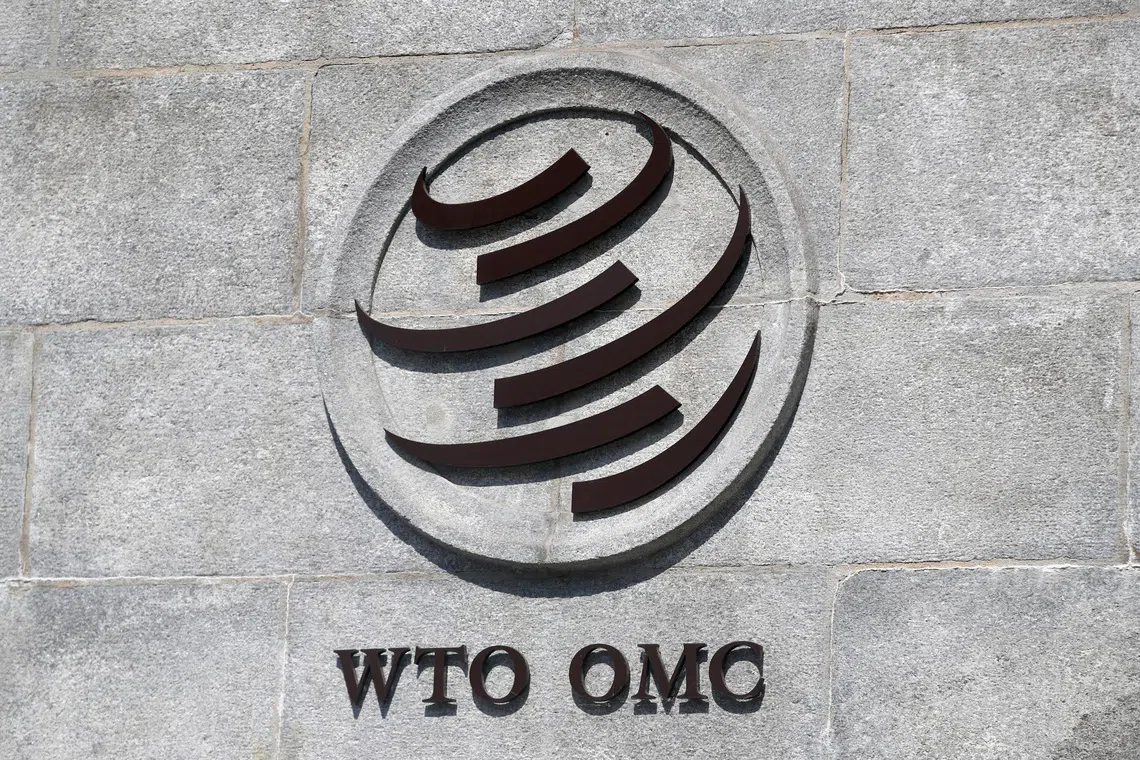 WTO says global trade system at critical juncture, urges reform