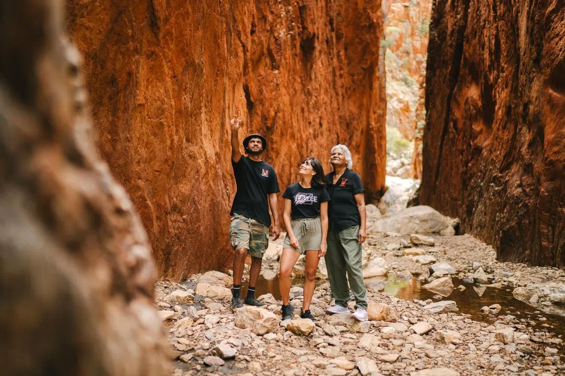 Get a taste of Aboriginal culture in the Northern Territory