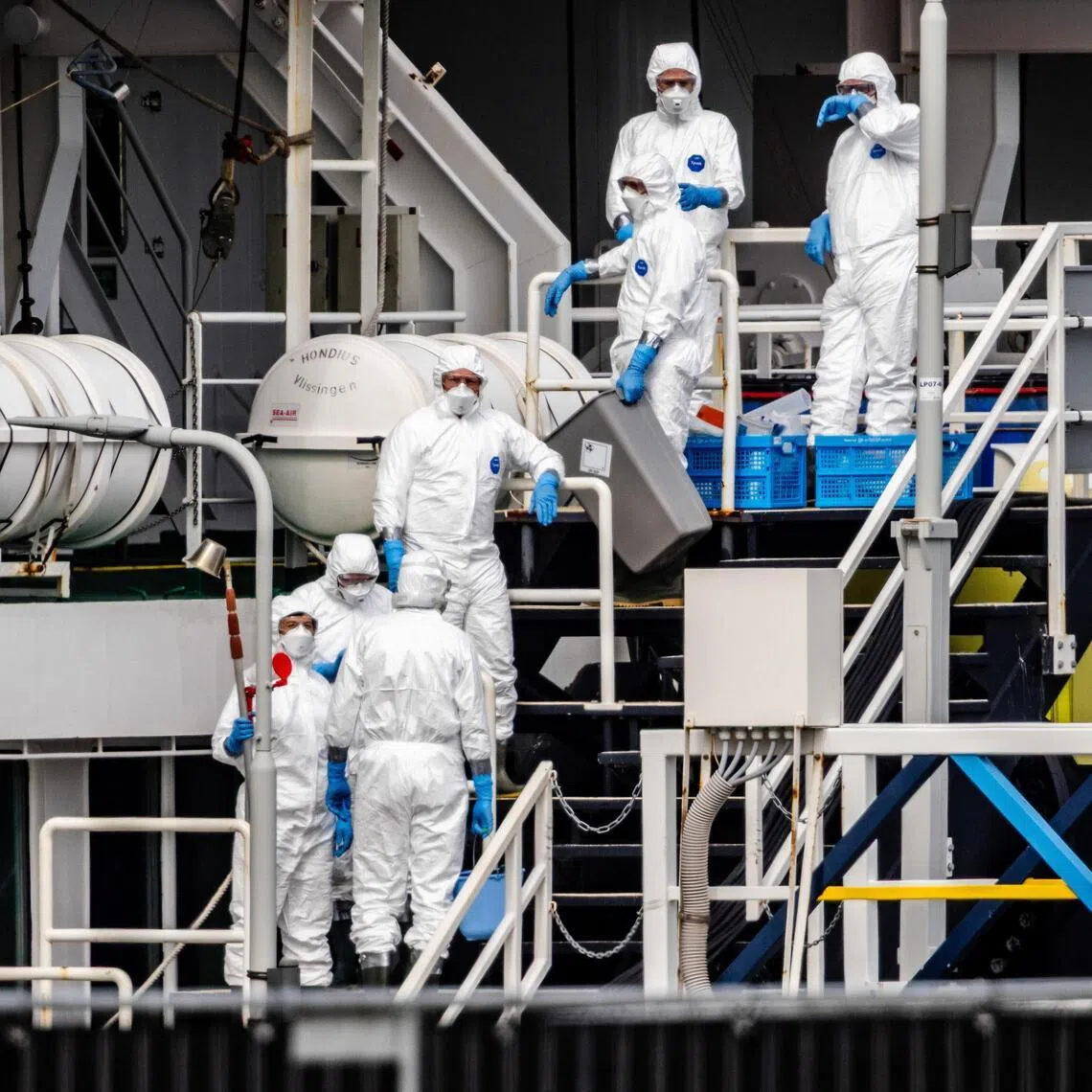 They were among a group of Americans on a cruise ship that became the centre of a global hantavirus outbreak in May.