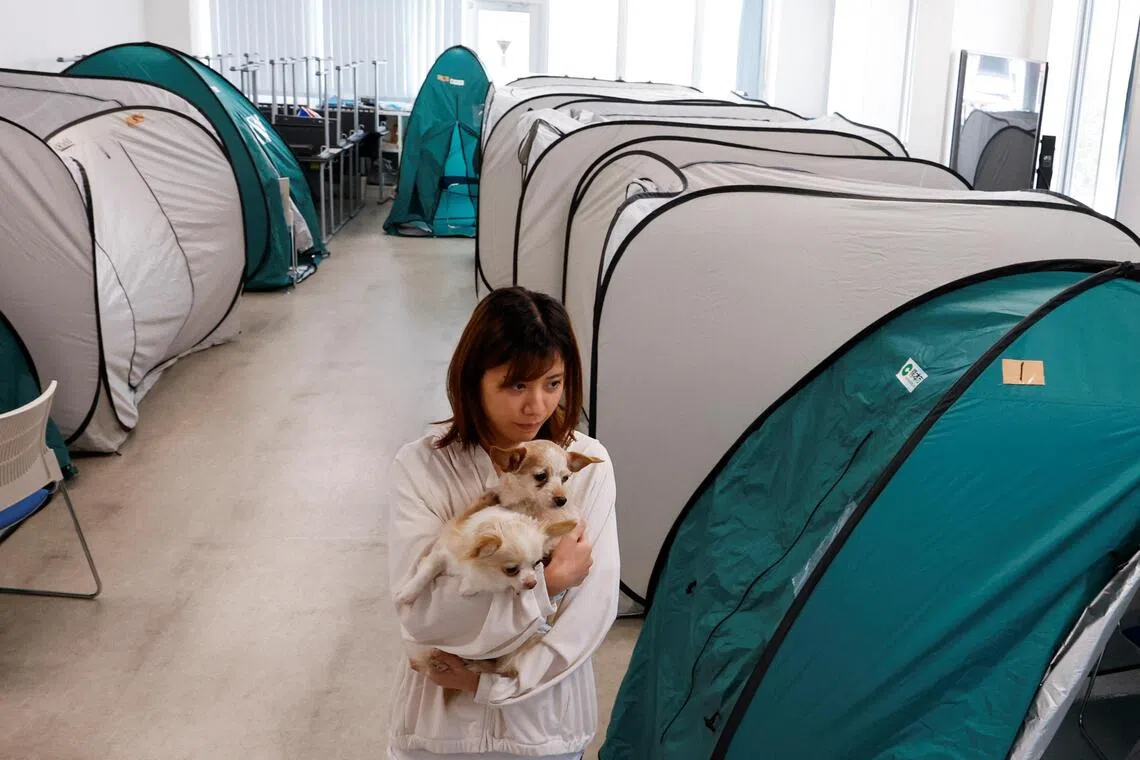 Dogs allowed! Animal hospital opens doors to Japan quake survivors and their pets