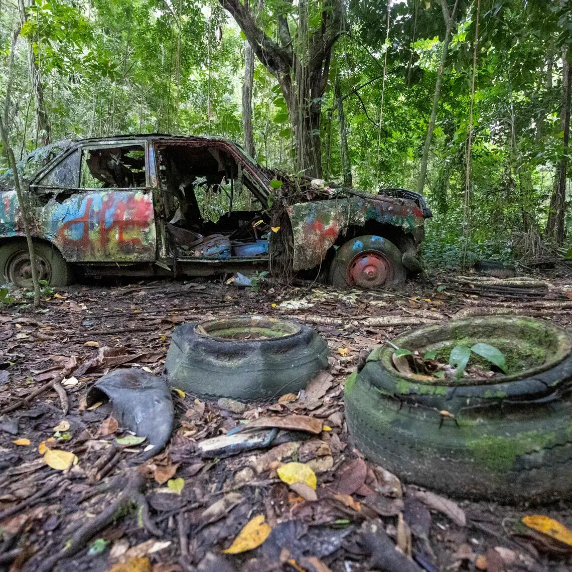 kST20251113_202510000283/clcars/Brian Teo/Cherie Lok/The dilapidated exterior of one of four abandoned cars left at Bukit Brown Cemetery, photographed on Nov 13, 2025. The car is among the remnants of Kheam Hock Village. ST PHOTO: BRIAN TEO 