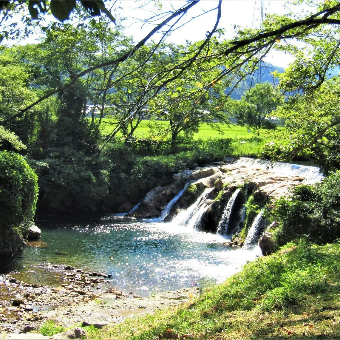 The body of the boy was found in the basin of a waterfall near his school in Ishikawa prefecture in central Japan.