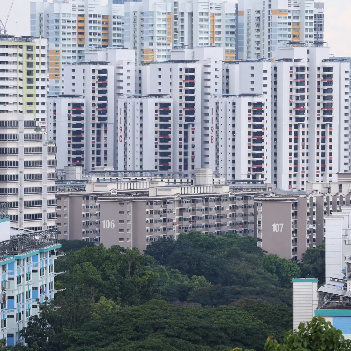 A majority of the singles surveyed were aged 35 and below and living in four-room or bigger flats that were owned.