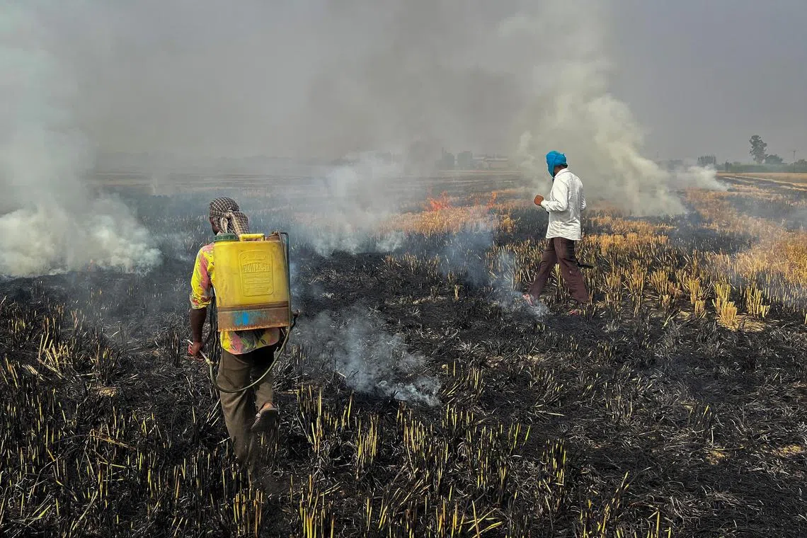Farmers burning crop stubble in a rice field at a village in Fatehgarh Sahib district, in the northern state of Punjab, India, on Friday. 