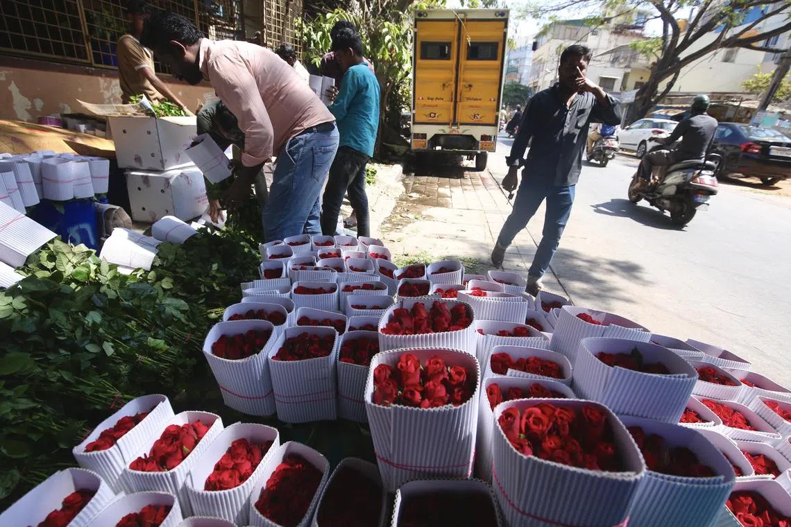 epa11149820 Labourers arrange red roses boxes for upcoming Valentine's Day in Bangalore, India, 13 February 2024. Valentine's Day, a day dedicated to expressing love with romantic gestures is celebrated all over the world on 14 February.  EPA-EFE/JAGADEESH NV
