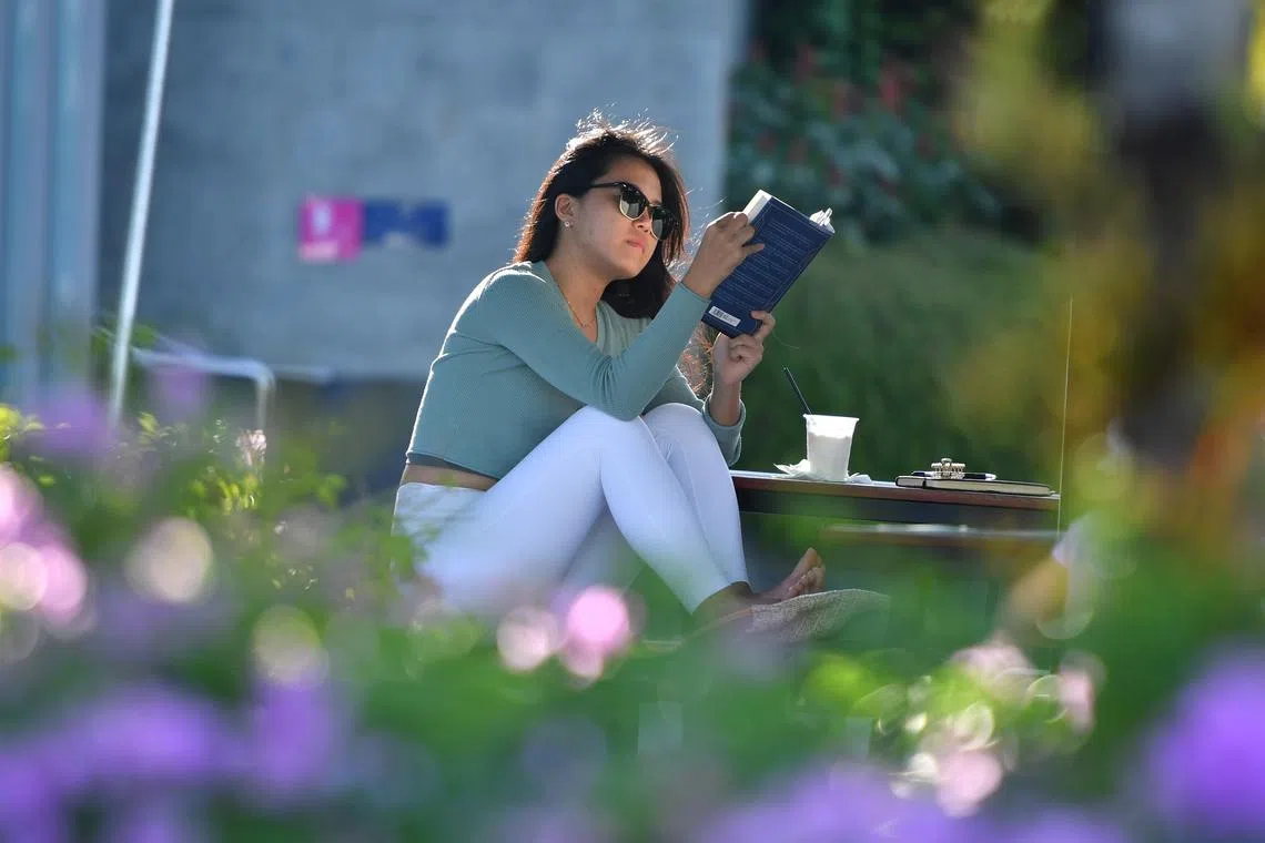 In the first two weeks of January, the daily temperature is forecast to range between 24 and 33 deg C on most days.