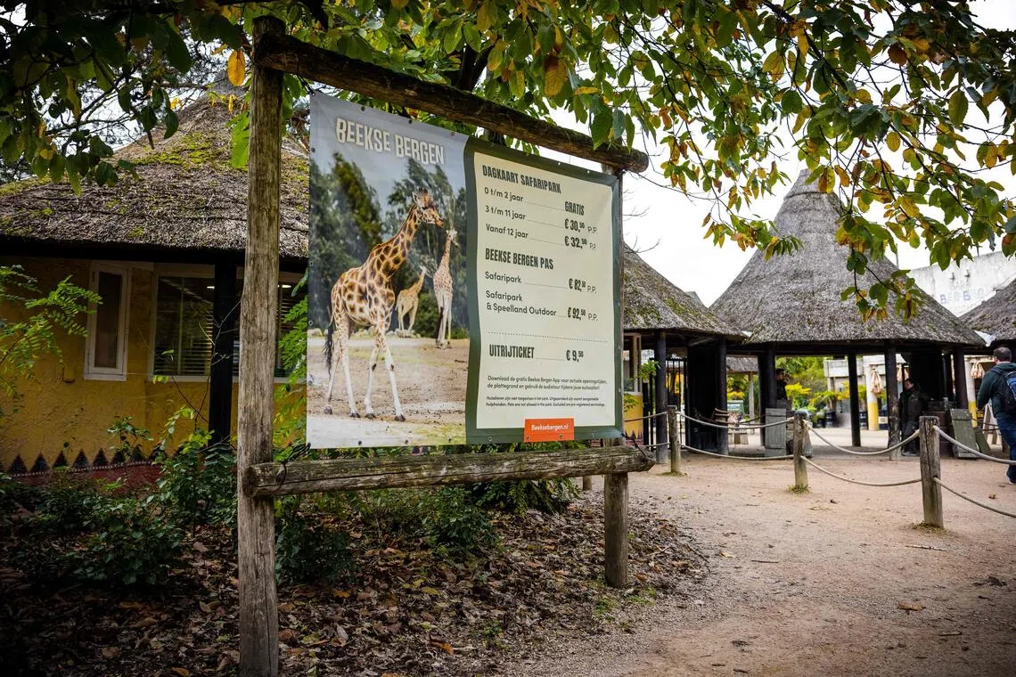 A female zookeeper was attacked while caring for two Persian leopards at an indoor facility at the Netherlands’ Beekse Bergen Safari Park.