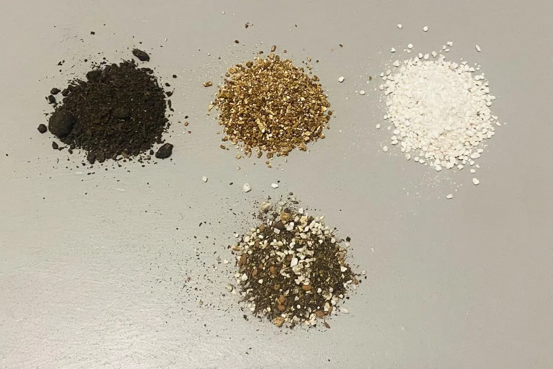 A soil-less mix can be made by mixing (top, from left) peat moss, vermiculite and perlite, in equal parts. The resulting mix (bottom) is porous but moisture-retentive enough to raise seeds and grow a variety of plants.