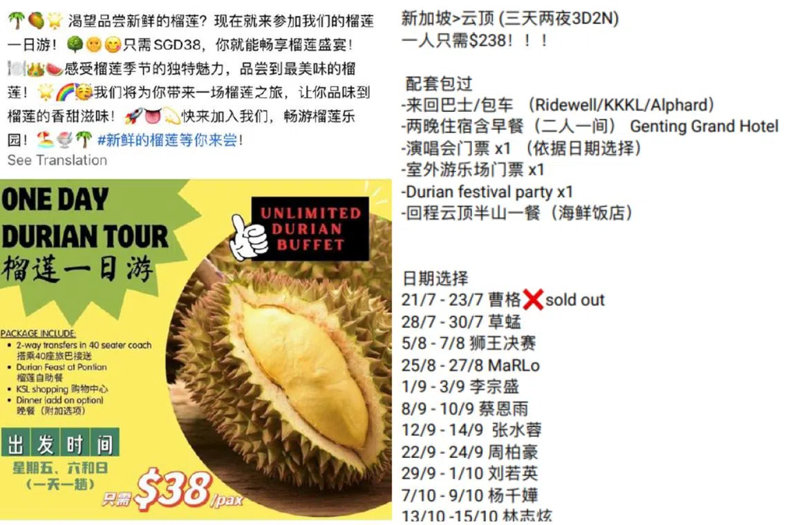 Victims would come across advertisements on social media like this, promoting “cruises, tour packages, concert tours and durian tours”.