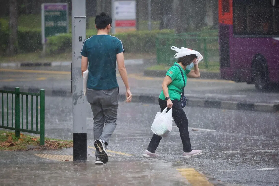 ST20231020_202356766515/pixgeneric/Jason Quah

Generic photo of rainy weather in Jurong East at around 1.30pm on 20 Oct, 2023.
//
Wet weather, rain, climate, environment, temperature