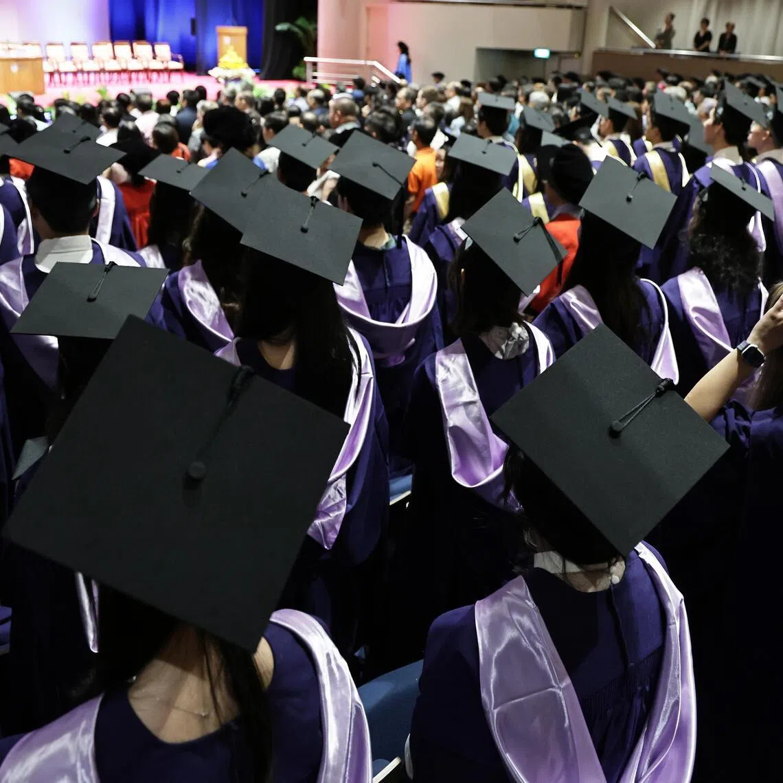 Manpower Minister Tan See Leng said the employment rates have remained “broadly stable” for young graduates aged 25 to 29.  