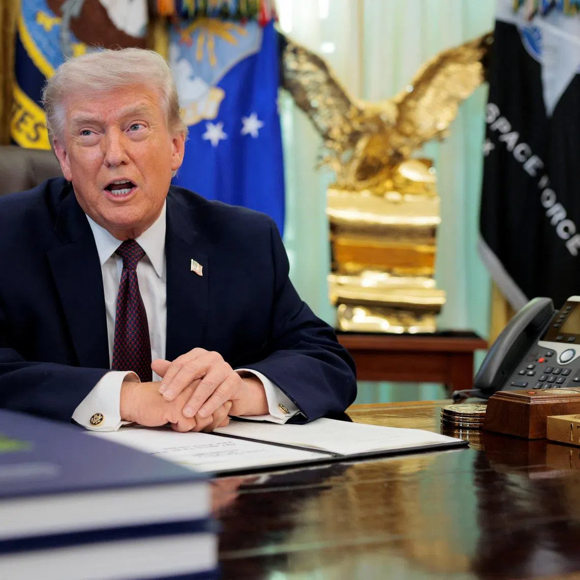 US President Donald Trump's directive to restrict birthright citizenship in the US is part of his wider crackdown on immigration.