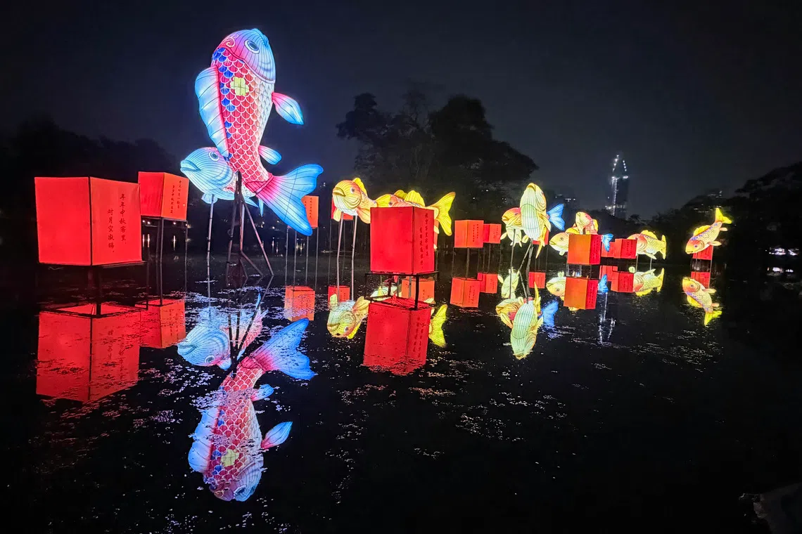 At Resthouse Pond, colourful koi glide beneath floating lanterns in a graceful, shimmering display – drawing on the Japanese and Chinese symbolism of koi as emblems of prosperity, resilience and the steady flow of good fortune.