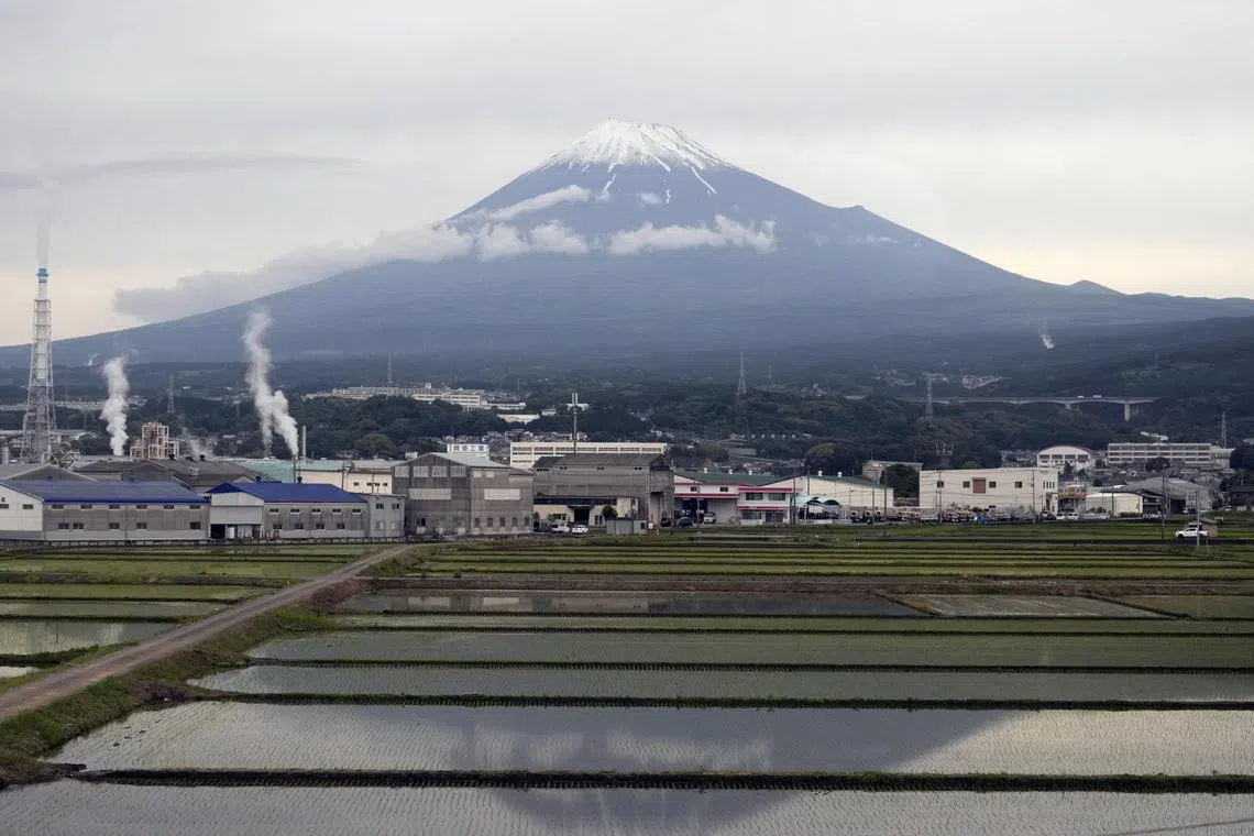 epa11268946 Factories are seen before Mount Fuji in Fuji, Shizuoka prefecture, Japan, 25 May 2023 (issued 10 April 2024). On 10 April 2024, the Bank of Japan released data showing that the producer price index rose 0.2 percent from the previous month as the export price index gained 0.3 percent while the import price index fell 0.5 percent from the previous month.  EPA-EFE/FRANCK ROBICHON