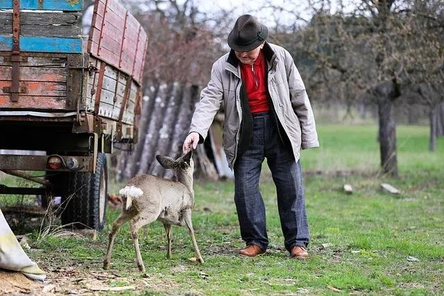 old man, love, old age, human, roe, deer, farm, pet, old man, old man, old man, old man, old man, human, human, human