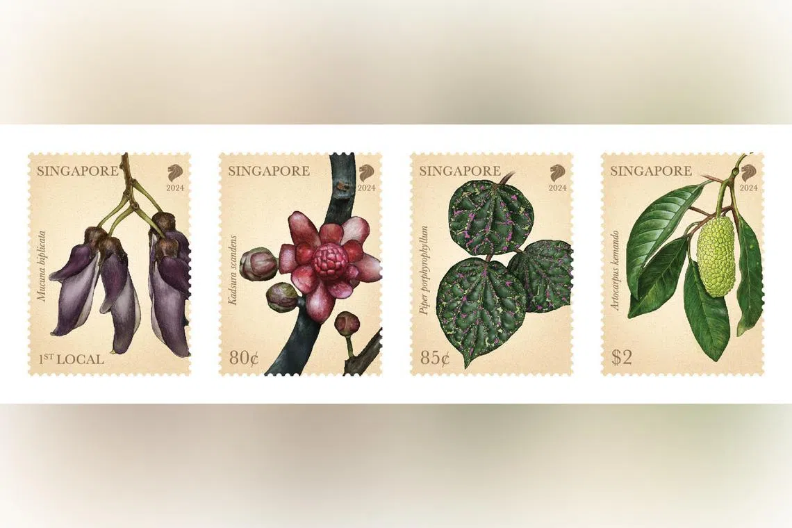 The launch marks the 2024 edition of the annual Festival of Biodiversity, which will be held on May 25 and 26 at One Punggol.