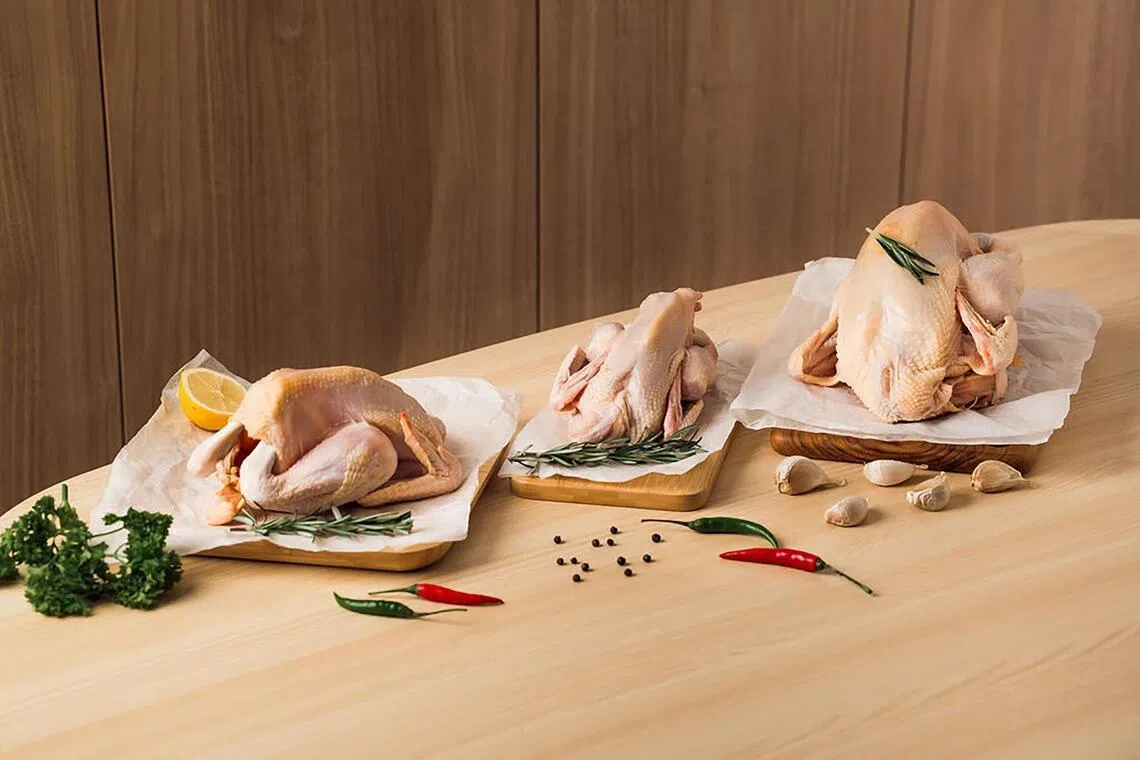 hysupply09 - TTSFrench Poulet


CREDIT: PHOTO: TOH THYE SAN