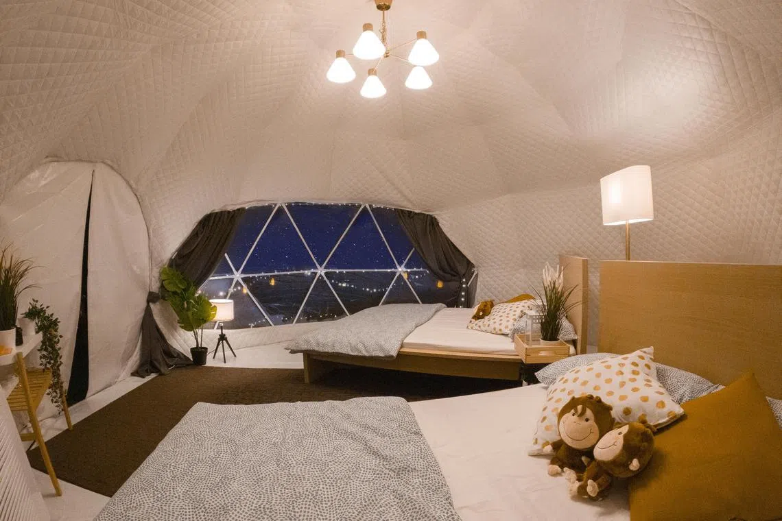Enjoy a one-night stay in an air-conditioned glamping tent which sleeps up to four people.