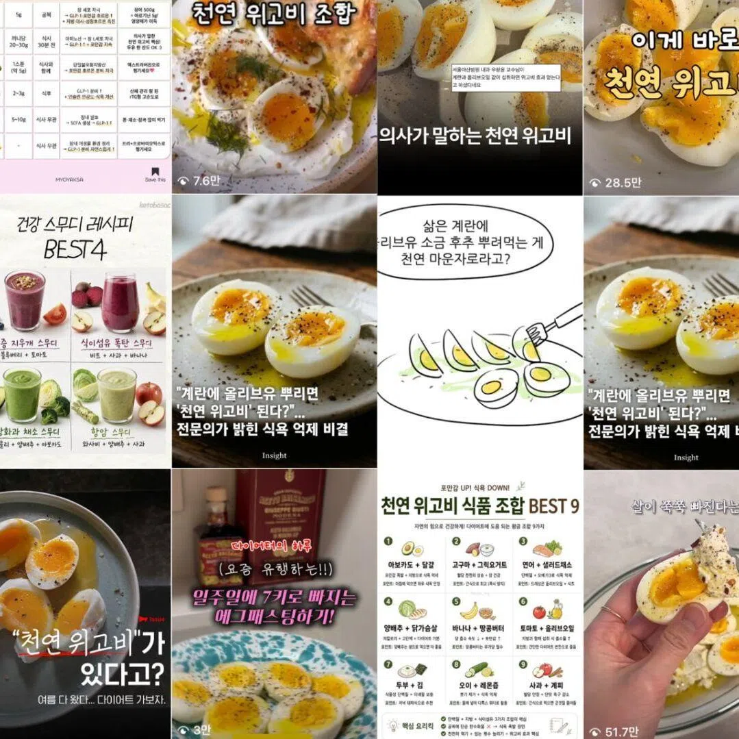 A screengrab of Instagram search results for “natural Wegovy” in Korean. 