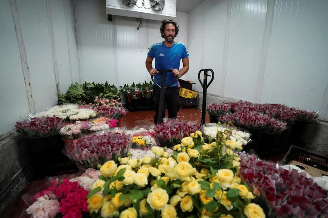 A volunteer organises flowers to prepare wreaths for at least 1,200 Israelis killed following rocket fire and the assault on Israel by Hamas gunmen from the Gaza Strip, in Moshav Zeitan near Tel Aviv, Israel October 11, 2023. REUTERS/Janis Laizans