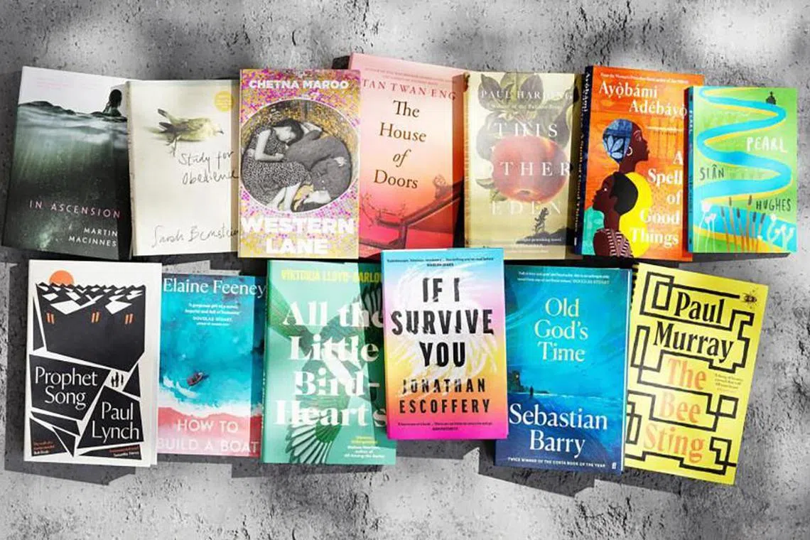 The 13 books on this year's Booker Prize longlist.



Booker Foundation