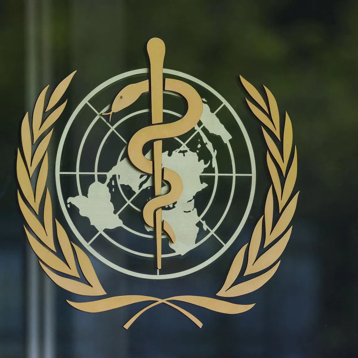 Logo of the World Health Organisation (WHO) on a glass panel at the WHO headquarters in Geneva, Switzerland, April 29, 2026. REUTERS/Denis Balibouse