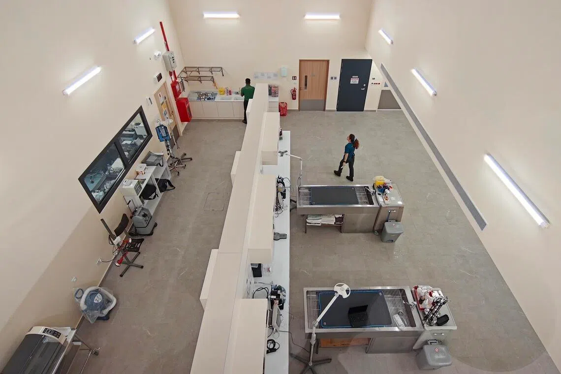 The new wards can house up to 50 animals, and advanced laboratory capabilities mean that about 90 to 95 per cent of the tests can be run in-house.