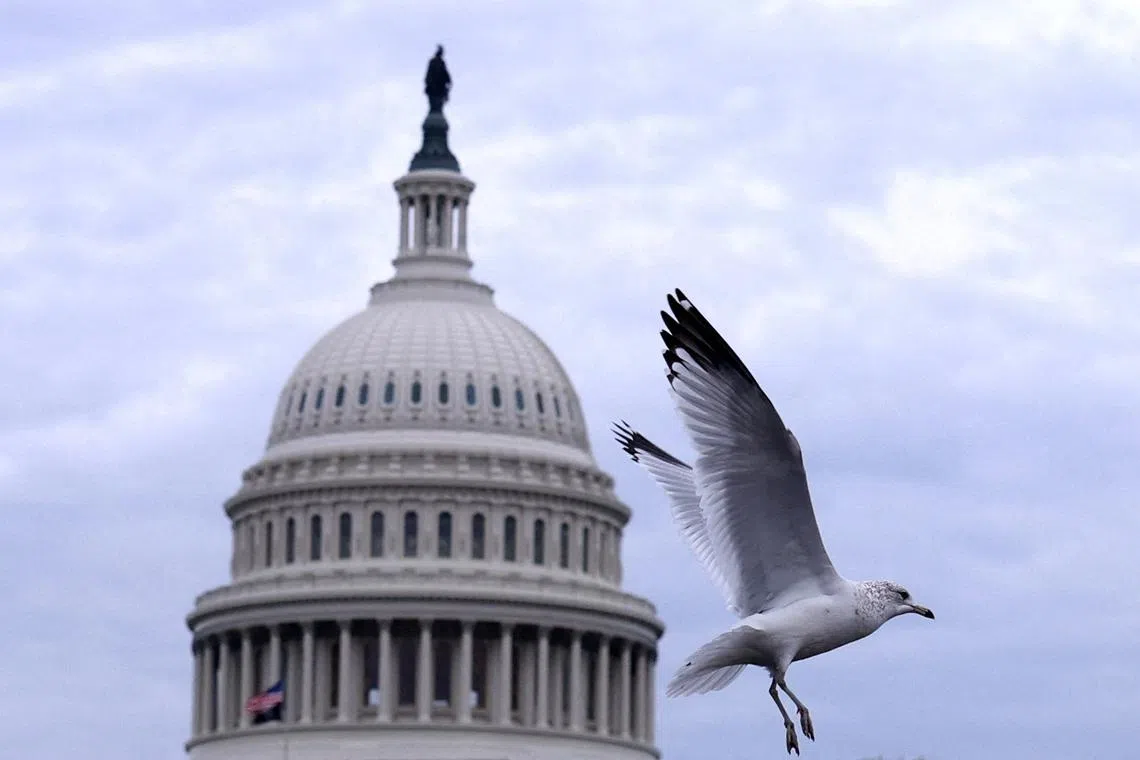 FILE PHOTO: A bird flies in front of the U.S. Capitol building in Washington, US, November 10, 2024. REUTERS/Hannah McKay/File Photo
