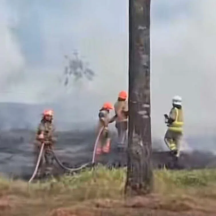 The fire involved vegetation measuring about 150m by 50m and was put out using three water jets.