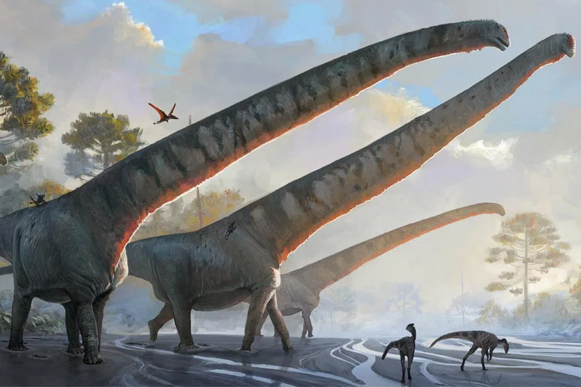 A rendering of the sauropod known as Mamenchisaurus sinocanadorum, which had a 15m long neck