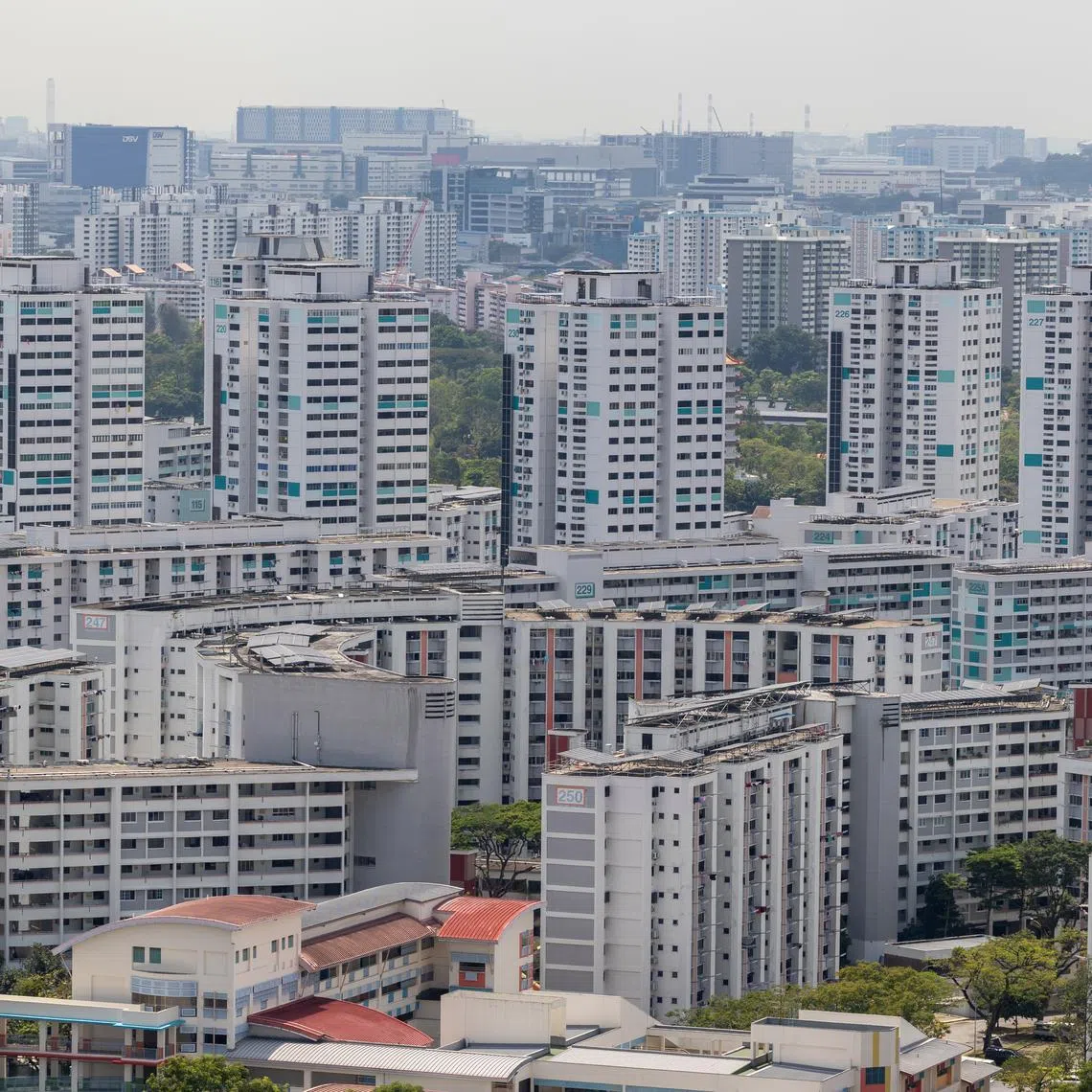 WP added that it will share more information with the public in due course on the likely constituencies it will contest and its potential candidates.