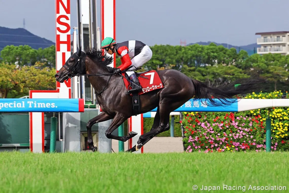 Monroe Walk (Keita Tosaki) recording an easy win in a Shuka Sho trial, the Grade 2 Rose Stakes at Hanshin on Sept 13.

PHOTO:  JRA
