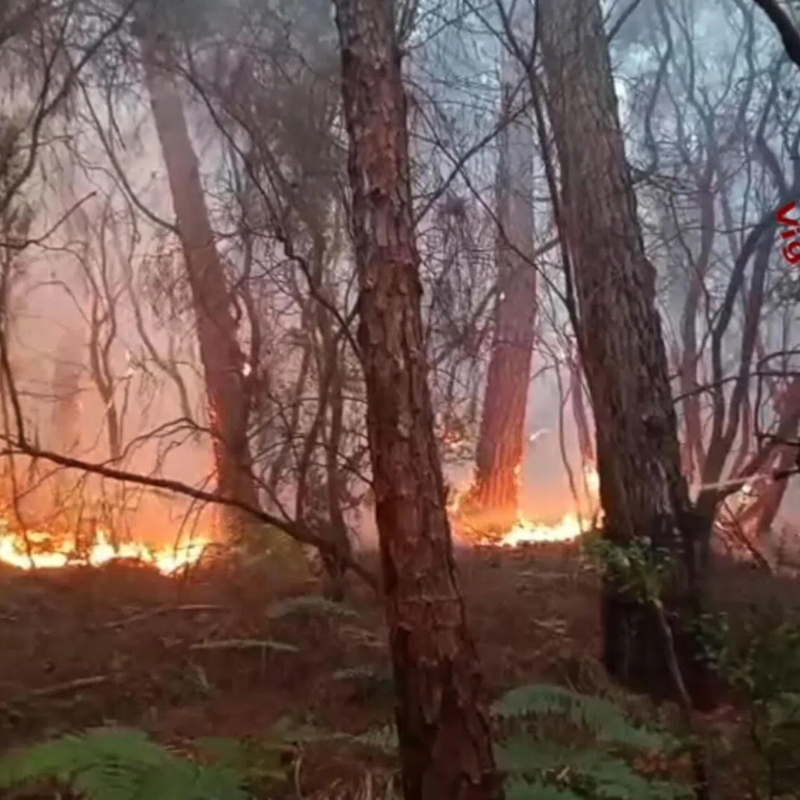The fire, active since April 28, has spread over 800ha on Mount Faeta, straddling the provinces of Lucca and Pisa.