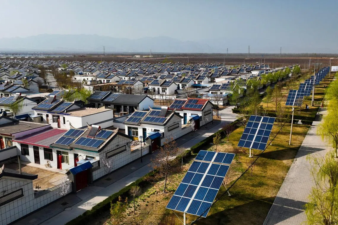 South-western forest fires in early 2024 have had a “serious effect” on the safe functioning of the power grid.