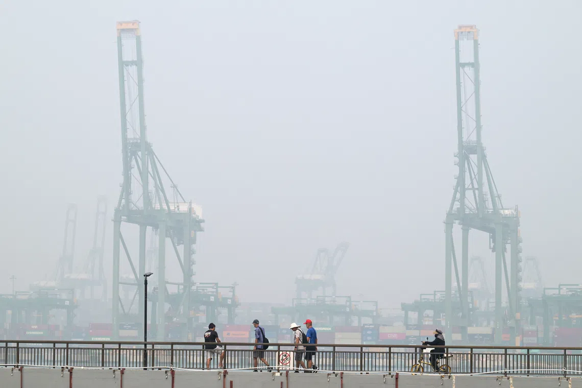 Agribusiness companies have come under increasing scrutiny over their potential links to the transboundary haze.