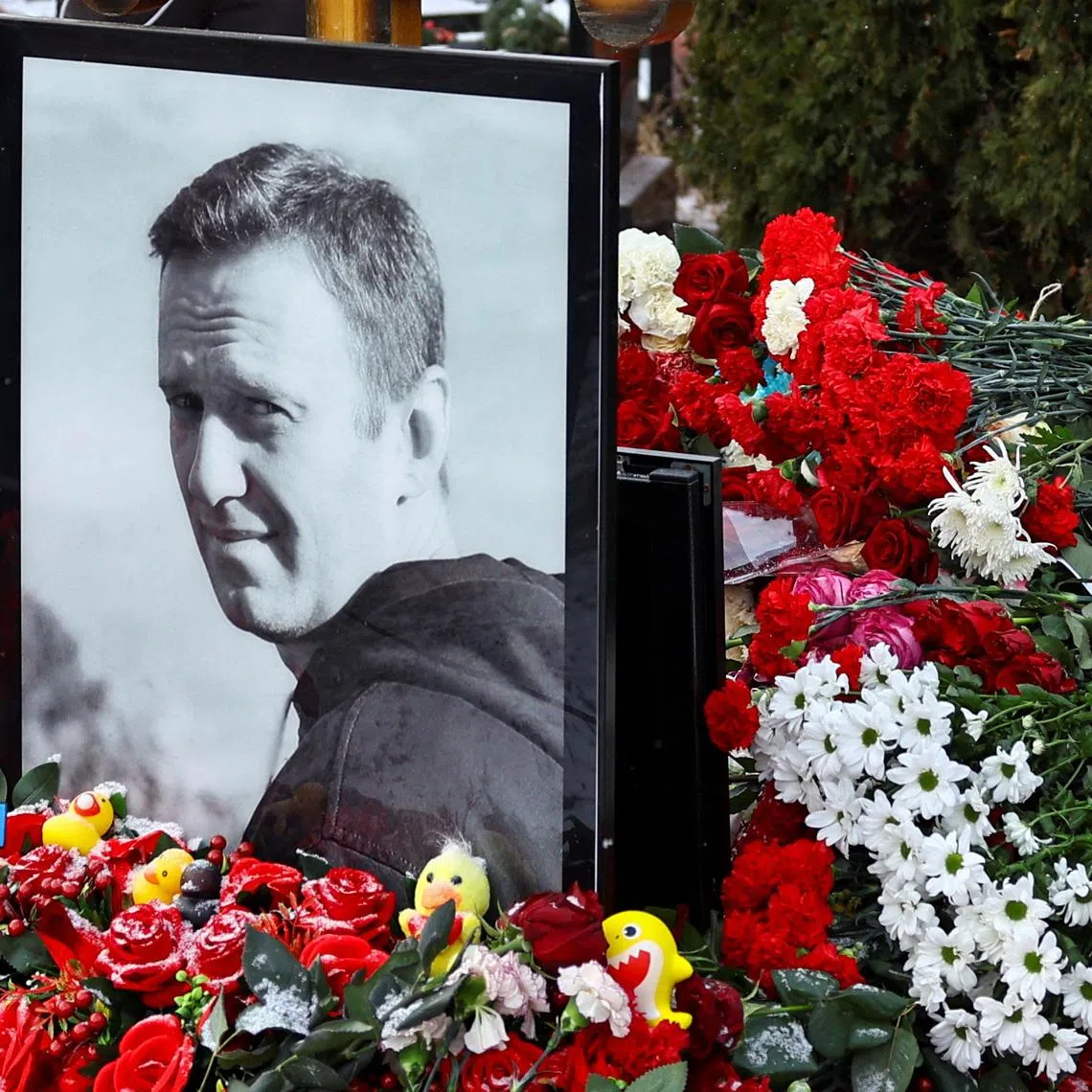 A person lays flowers at the grave of Russian opposition leader Alexei Navalny while marking the first anniversary of his death at a cemetery in Moscow on Feb 16.