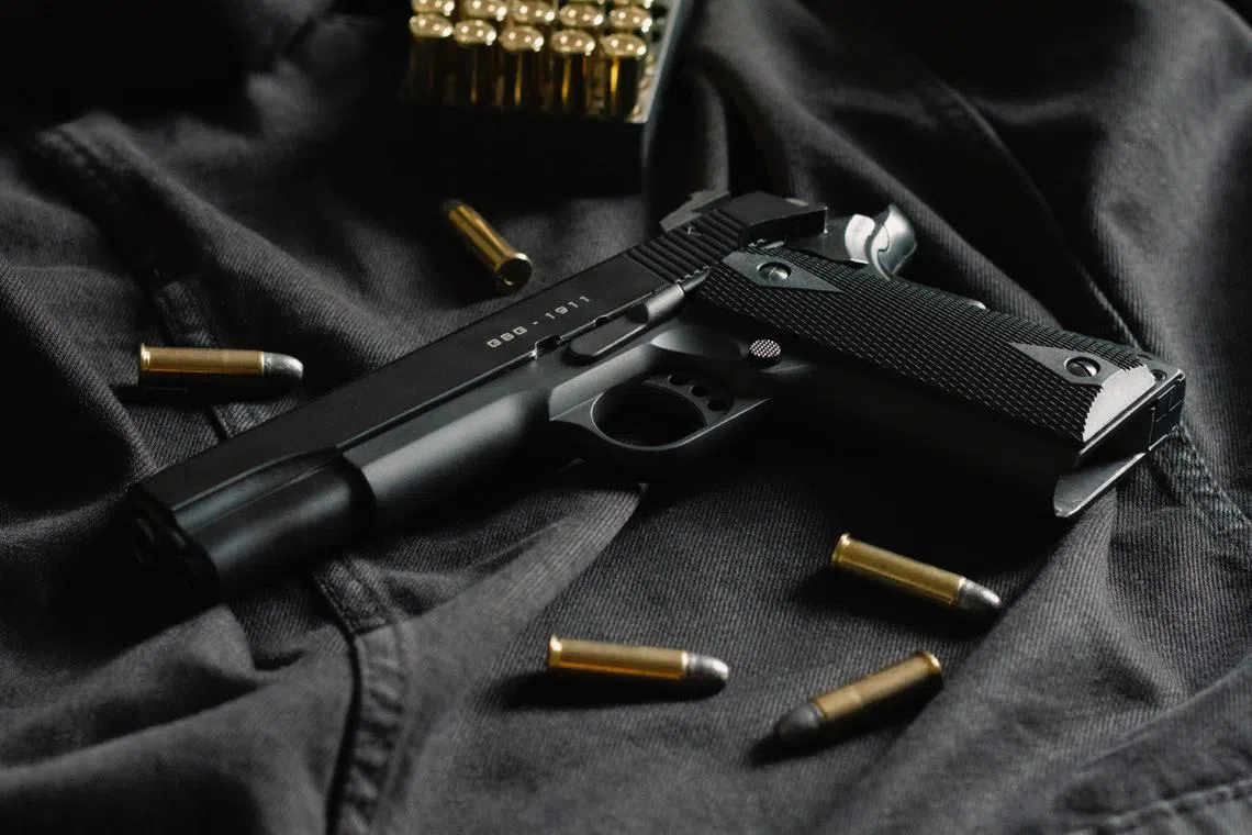 The bill also allows owners to hand over unlawful ammunition to the authorities within the same period without penalty. 