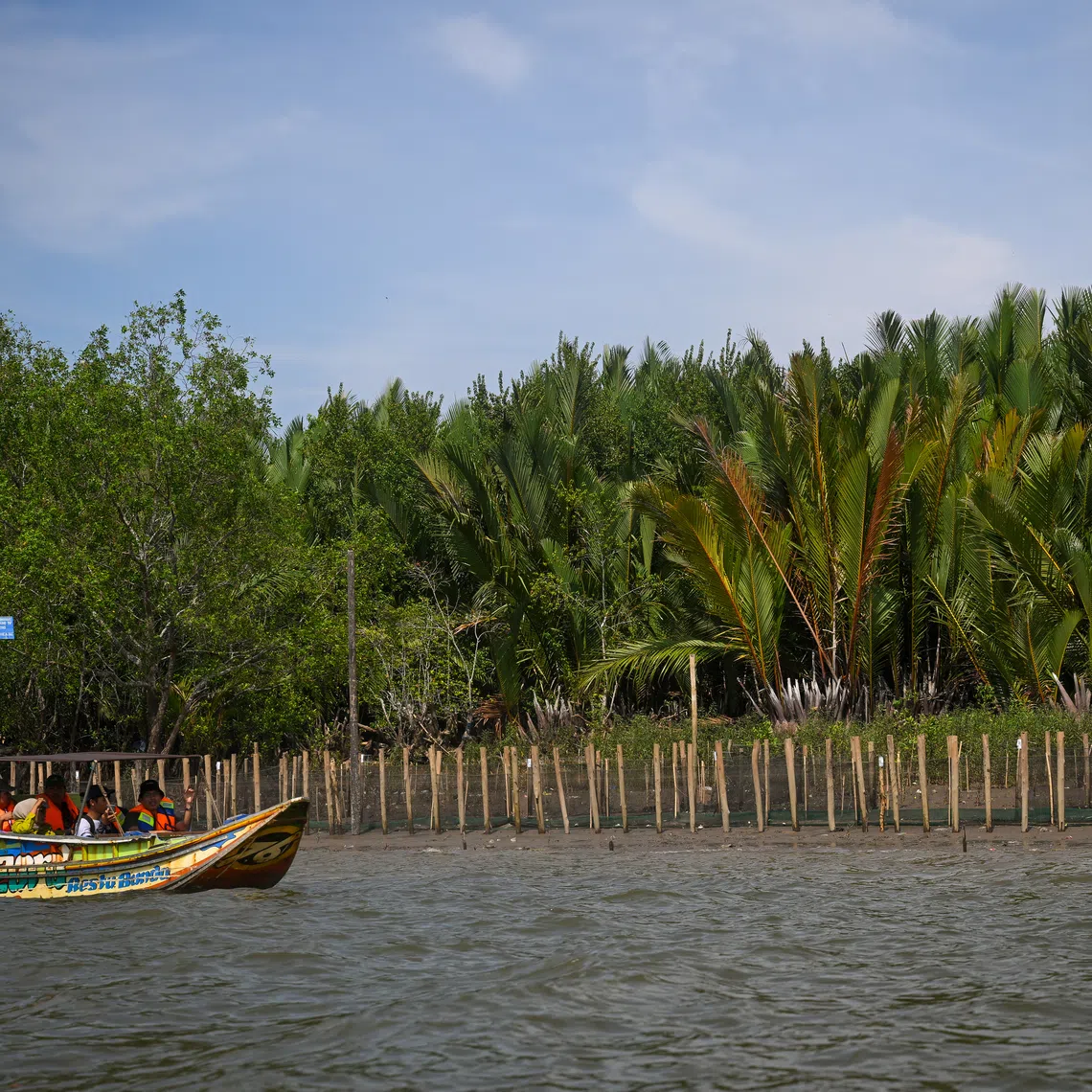 A tree adoption site in South Sumatra, Indonesia, where mangrove seedlings have been planted.