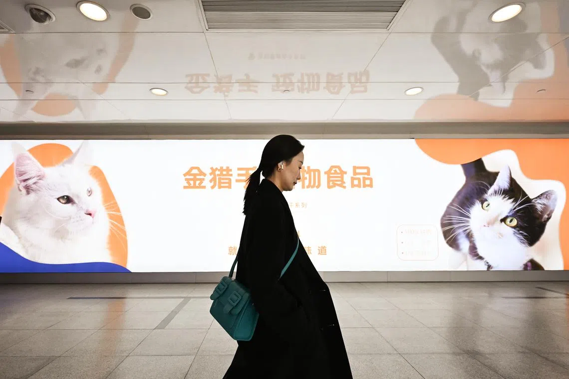 The writer says it is time to stop making single women the scapegoats just because they do not conform to societal pressures.