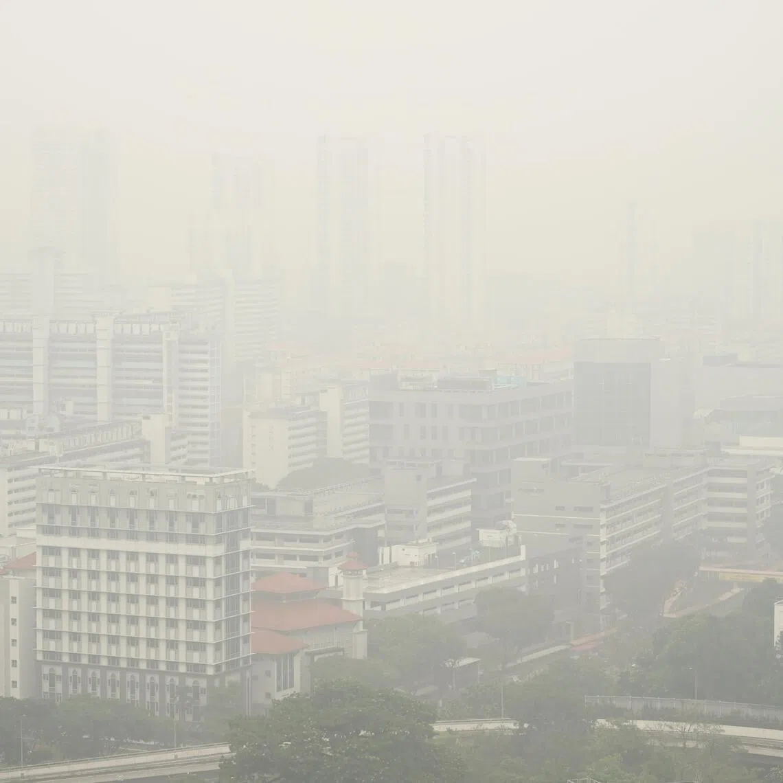 Where warranted, Singapore will take action under its Transboundary Haze Pollution Act
