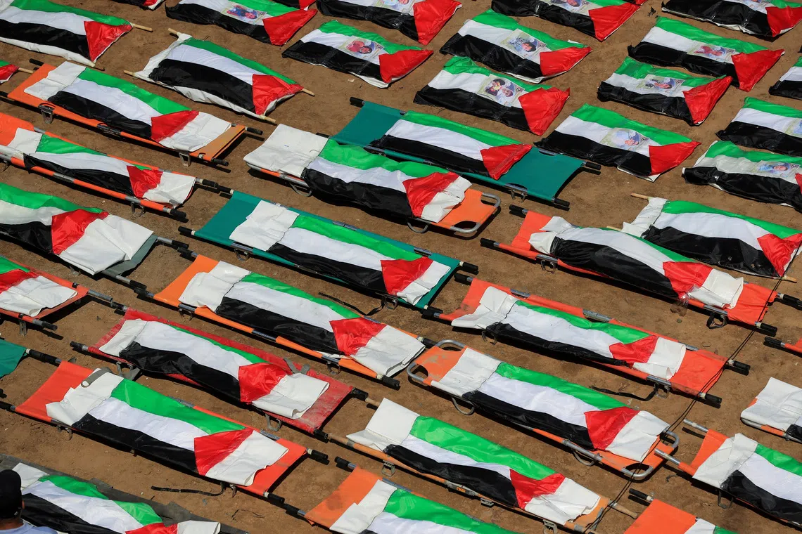 Rows of military cots covered with patterned blankets lined up on the ground.