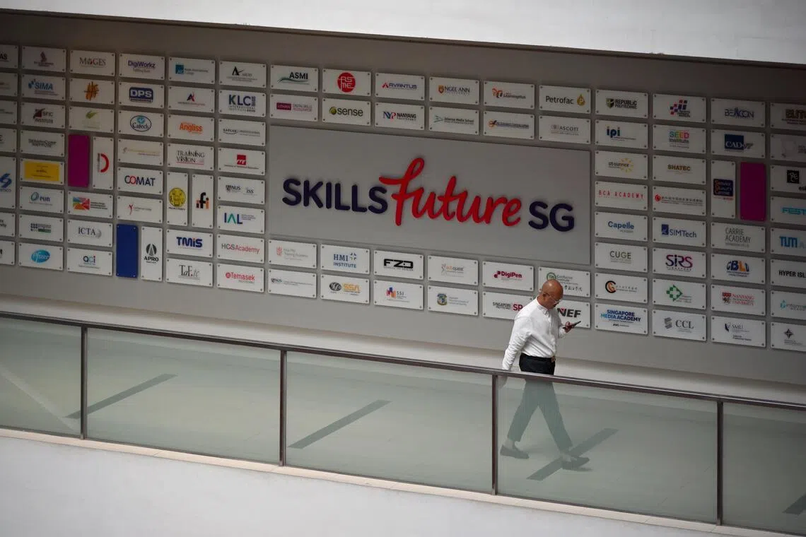 Singapore has made significant progress in expanding access to training and building a national system for lifelong learning. But more choice also means a more crowded and complex marketplace.