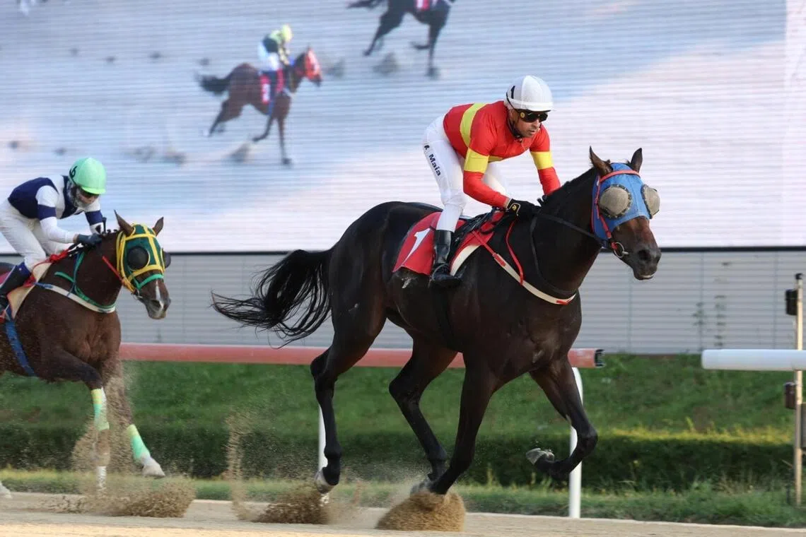 Munhak Boy - Munhak Boy

PHOTO:  SKY RACING WORLD
photo to ST Racing folder
