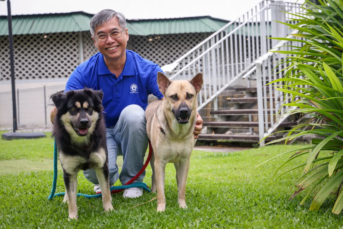 SPCA executive director Walter Leong says legislation cannot happen overnight, but as members of the public show more interest and awareness, it will help to push things along.