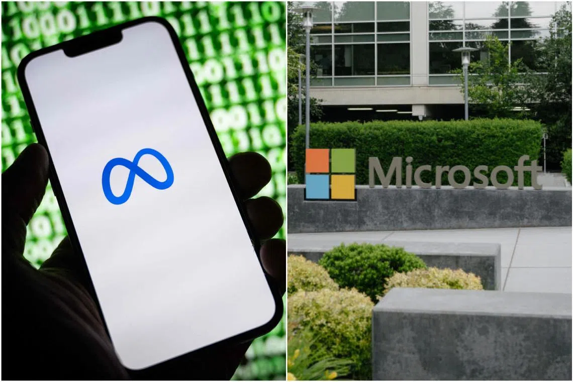 Big tech companies are looking for ways to slash costs as they pour billions into data centres and other AI infrastructure.