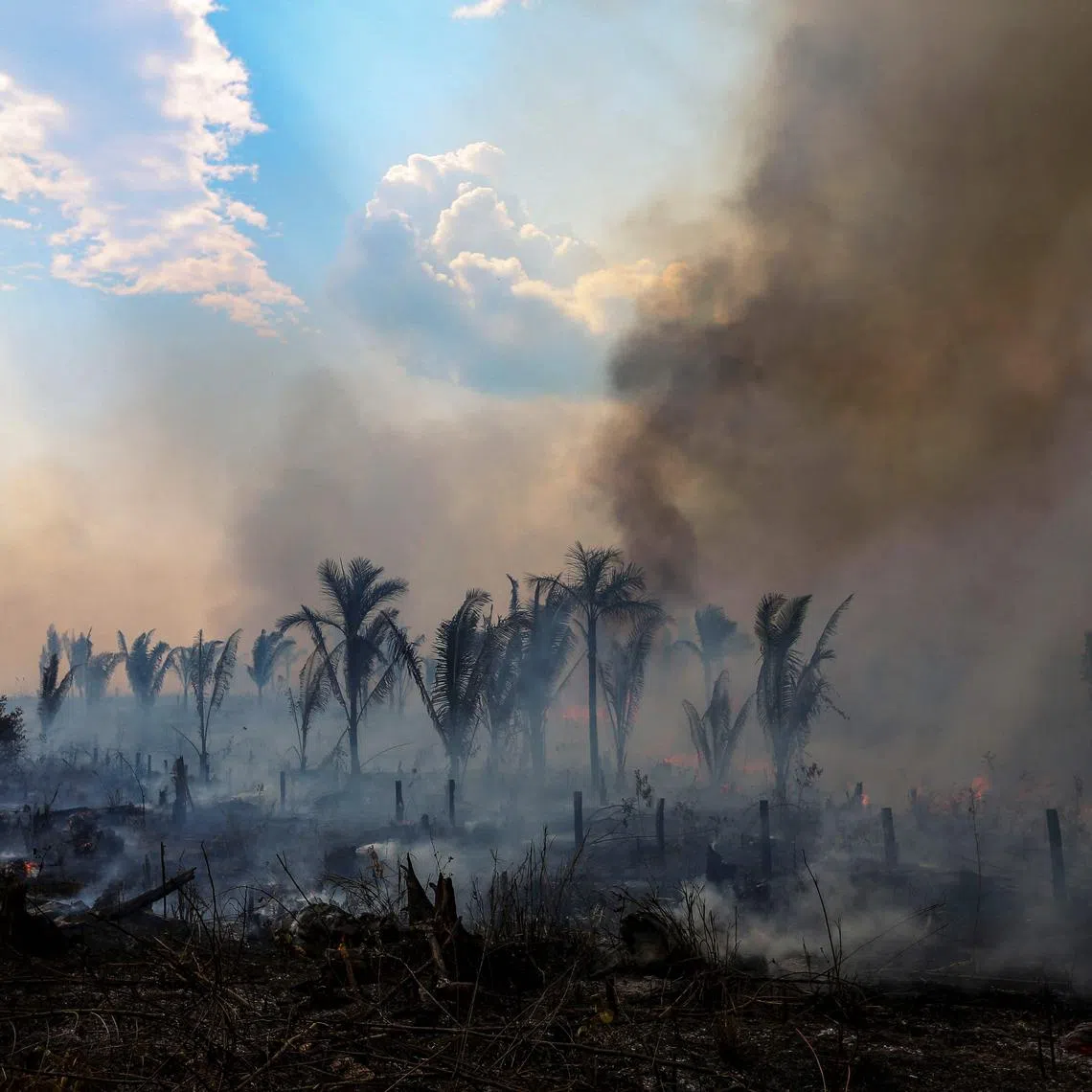 A burnt area of the Amazonian rainforest in Apui, southern Amazonas State, Brazil, during September last year.